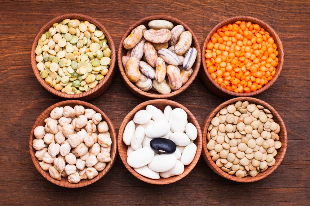 Proteins & Fiber